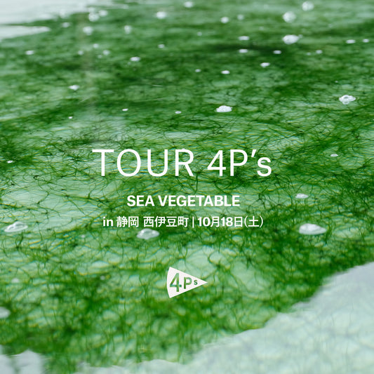 SEA VEGETABLE  in 静岡 西伊豆町